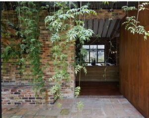 WhatsApp Image 2022-06-14 at 11.20.46 AM